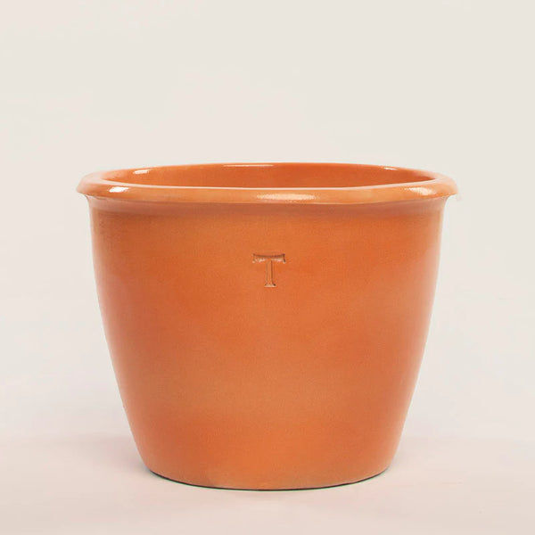 Bowl Mexicano 41cm al 51cm