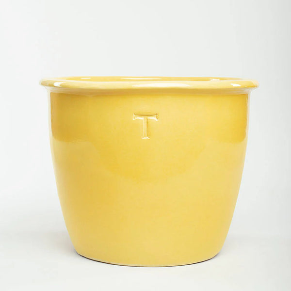 Bowl Mexicano 32cm al 42cm