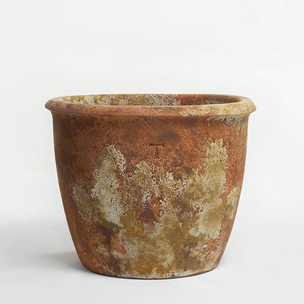 Bowl Mexicano 32cm al 42cm