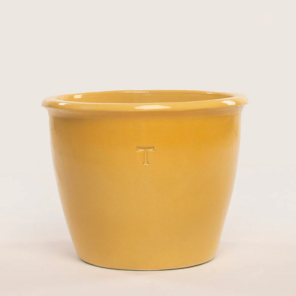 Bowl Mexicano 41cm al 51cm