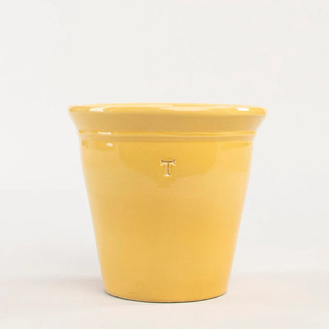 Vaso Liso 24cm al 20.5cm