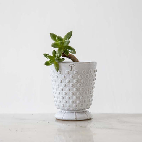 Florero mini polka