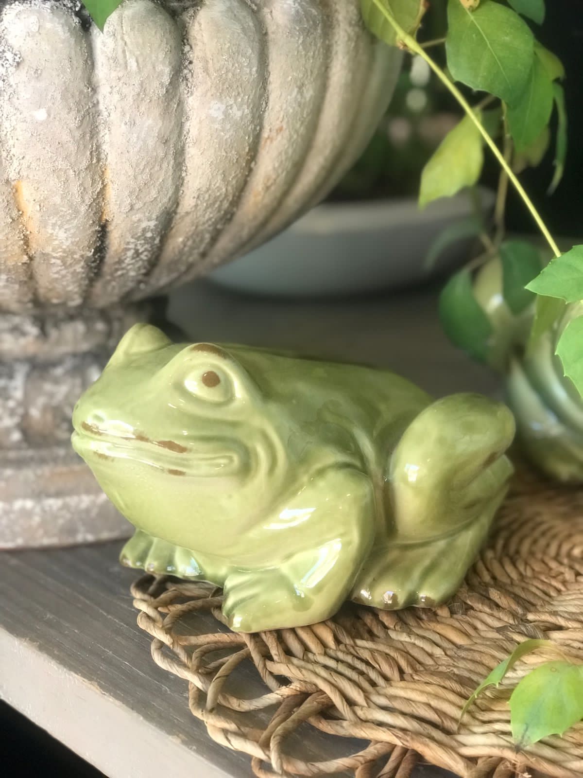 Cu. Rana 20cm verde cítrico